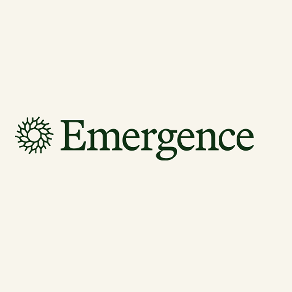 Emergence Software